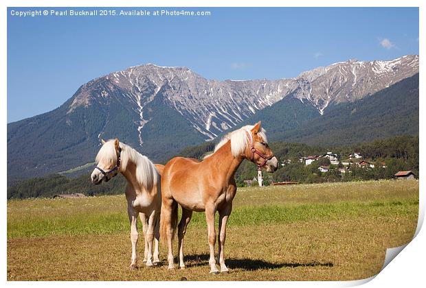 Palomino Horses Print by Pearl Bucknall