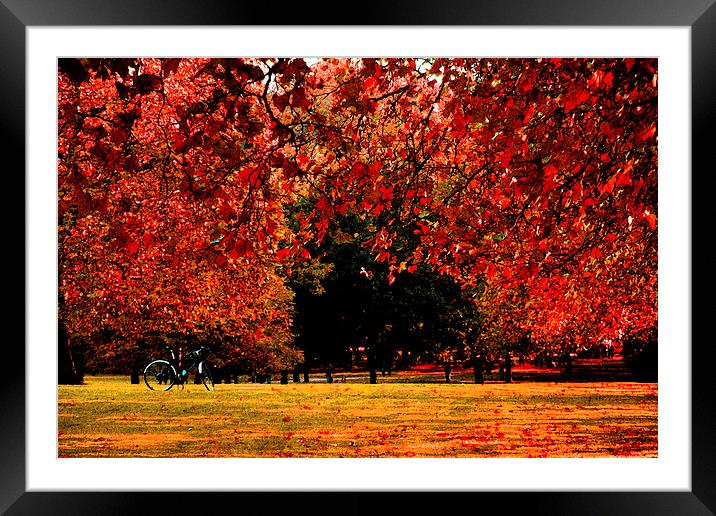 Autumn fresco Framed Mounted Print by David French