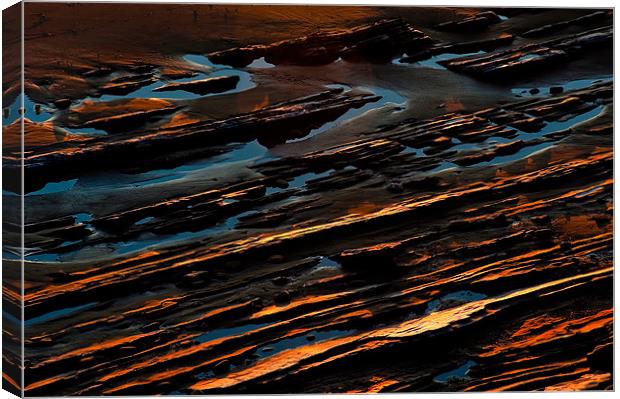 sand and limestone, low tide Canvas Print by Eyal Nahmias