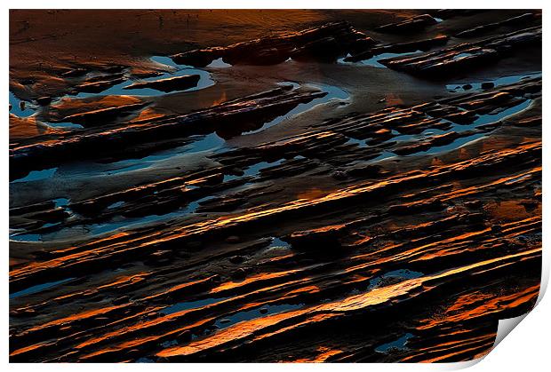 sand and limestone, low tide Print by Eyal Nahmias