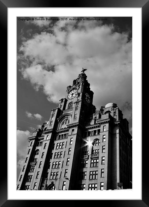  Liverpool Royal Liver Building Framed Mounted Print by Sandra Buchanan