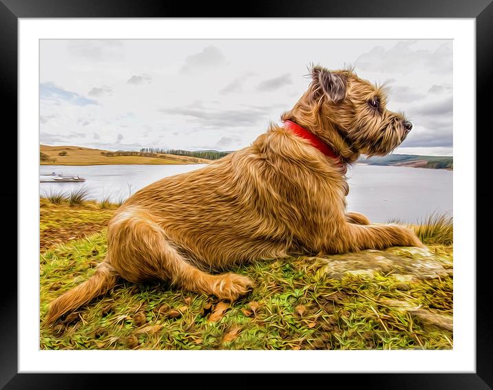 Border Terrier In Digital Oils. Print Framed Mounted Print by Tanya Hall