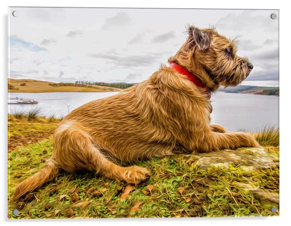 Border Terrier In Digital Oils. Print Acrylic by Tanya Hall