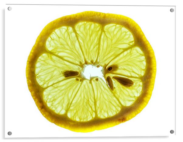 Lemon cross section Acrylic by Chris Watson