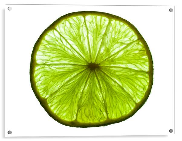 Lime cross section Acrylic by Chris Watson