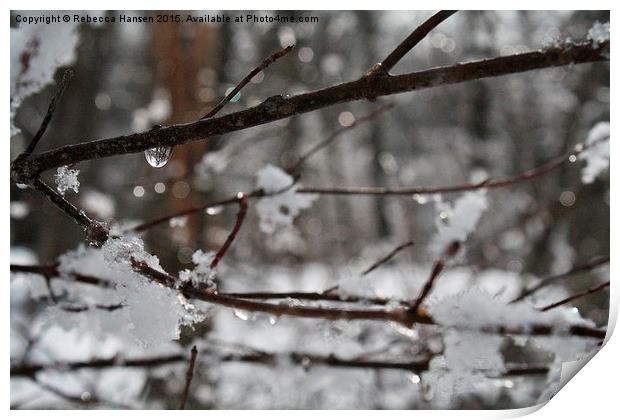  One Last Snowfall Print by Rebecca Hansen