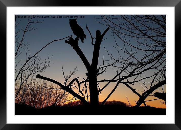  Waiting for the Night  Framed Mounted Print by Paul Mays