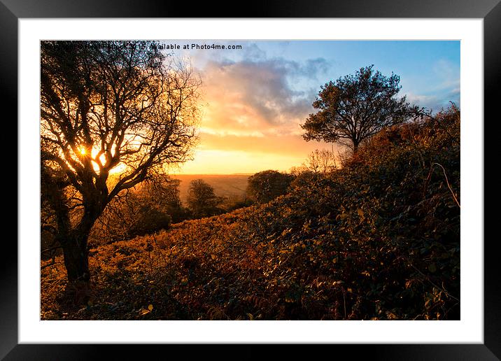 Morning Sun Framed Mounted Print by Neal P