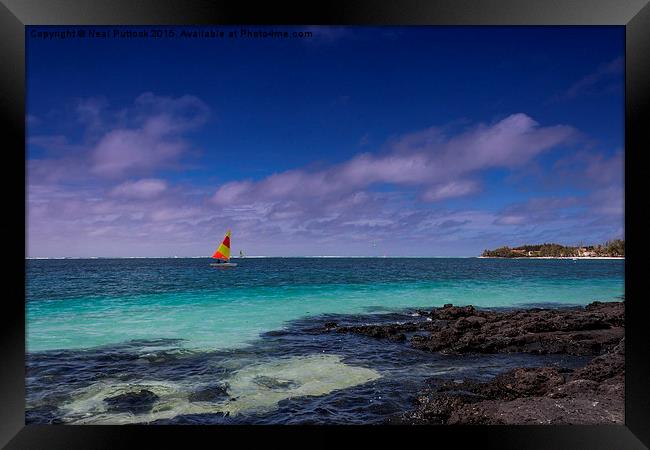  Sailing Framed Print by Neal P