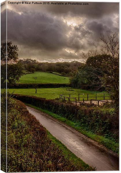  British Summer Canvas Print by Neal P