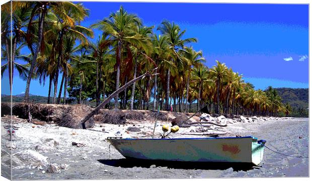  Boat and Stand of Palms Canvas Print by james balzano, jr.