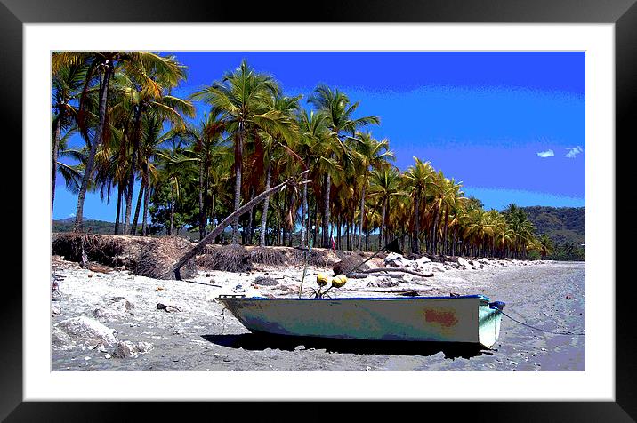  Boat and Stand of Palms Framed Mounted Print by james balzano, jr.