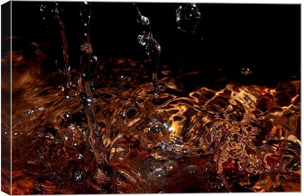  Water  Canvas Print by Paul Mays