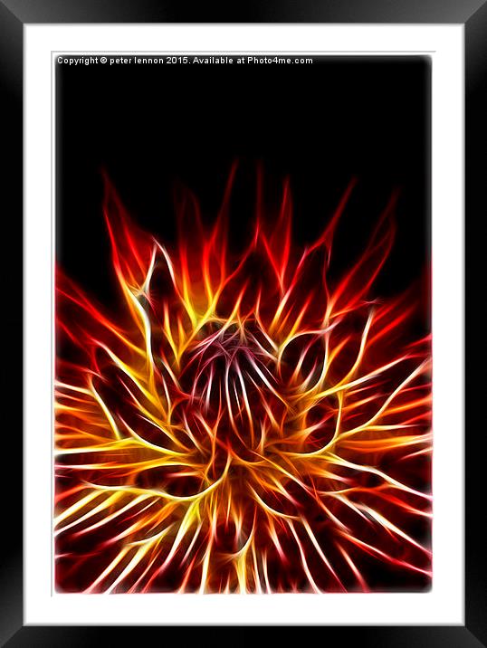  Flaming Fantastic Framed Mounted Print by Peter Lennon