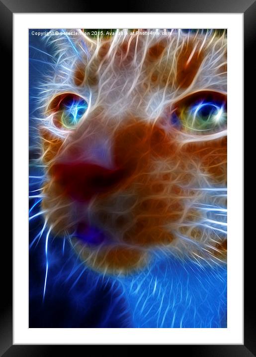  Neon Cat Framed Mounted Print by Peter Lennon