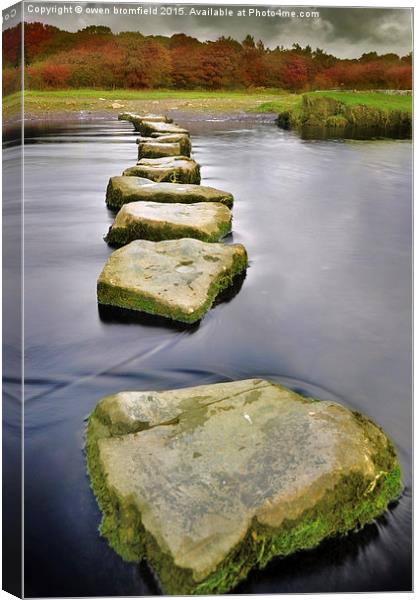  Stepping stones of life Canvas Print by Owen Bromfield