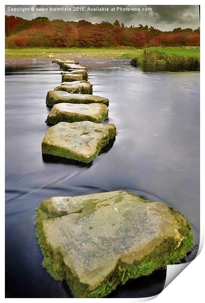  Stepping stones of life Print by Owen Bromfield
