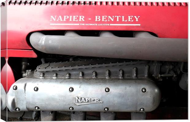 Napier-Bentley Canvas Print by Adrian Beese