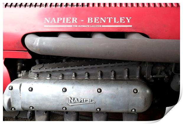  Napier-Bentley Print by Adrian Beese