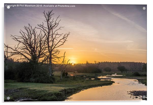  New Forest Sunrise Acrylic by Phil Wareham