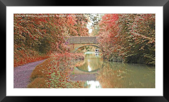  BASINGSTOKE CANAL Framed Mounted Print by Anthony Kellaway