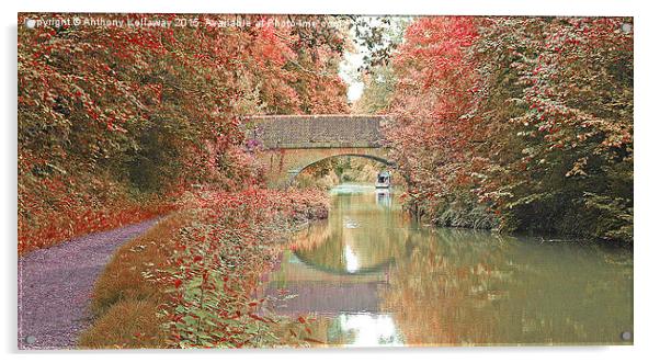  BASINGSTOKE CANAL Acrylic by Anthony Kellaway