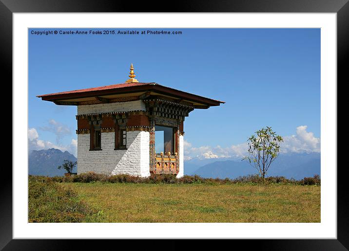  Shrine at the Druk Wangyal Khangzang, Bhutan Framed Mounted Print by Carole-Anne Fooks