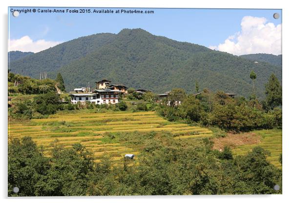  Farms & Landscape, Bhutan Acrylic by Carole-Anne Fooks