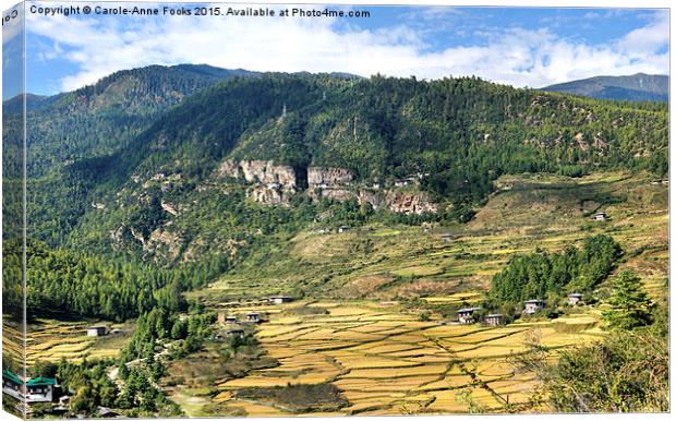  The Paro Valley, Bhutan Canvas Print by Carole-Anne Fooks