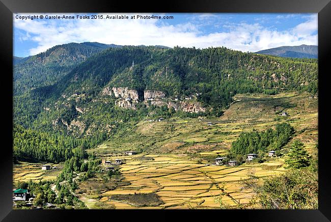  The Paro Valley, Bhutan Framed Print by Carole-Anne Fooks