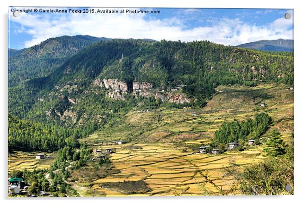  The Paro Valley, Bhutan Acrylic by Carole-Anne Fooks