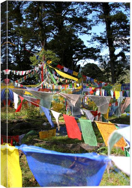   Prayer Flags  in Bhutan Canvas Print by Carole-Anne Fooks