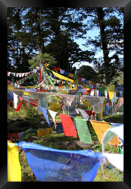   Prayer Flags  in Bhutan Framed Print by Carole-Anne Fooks