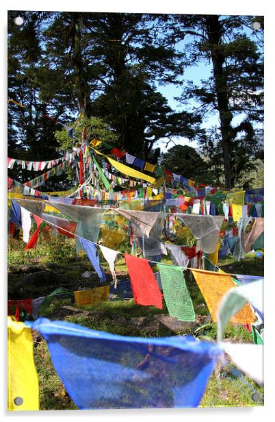   Prayer Flags  in Bhutan Acrylic by Carole-Anne Fooks
