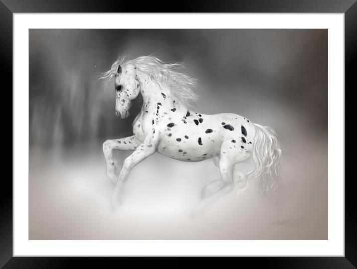 The Appaloosa Framed Mounted Print by Valerie Anne Kelly