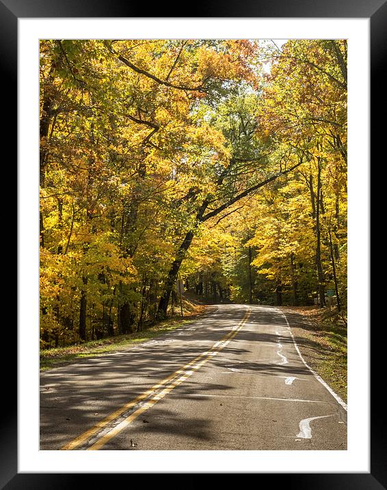  Wisconsin Fall Framed Mounted Print by Bob Small