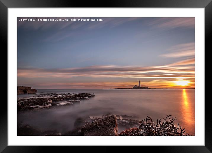  Sunrise at St Mary's Lighthouse Framed Mounted Print by Tom Hibberd