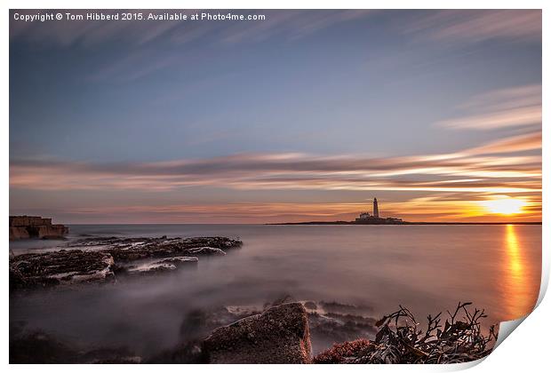  Sunrise at St Mary's Lighthouse Print by Tom Hibberd