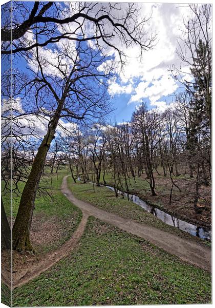 The path by the river in the park Sub Arini Sibiu  Canvas Print by Adrian Bud
