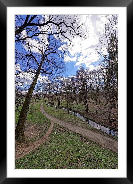 The path by the river in the park Sub Arini Sibiu  Framed Mounted Print by Adrian Bud