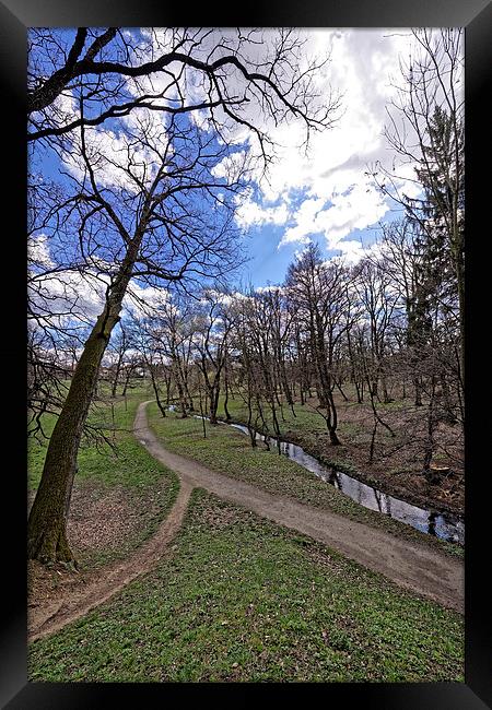 The path by the river in the park Sub Arini Sibiu  Framed Print by Adrian Bud