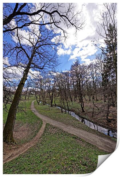 The path by the river in the park Sub Arini Sibiu  Print by Adrian Bud