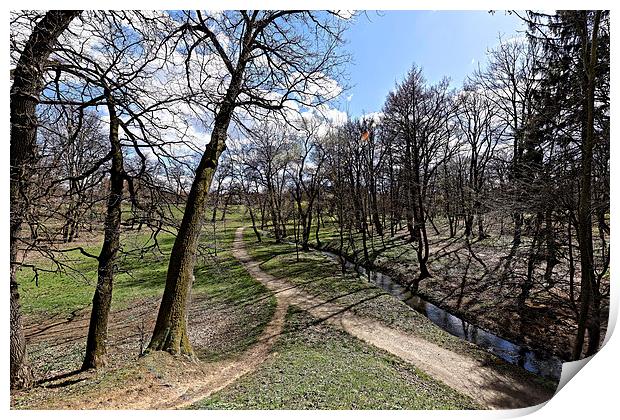 Alley of the river in the park Sub Arini Sibiu Rom Print by Adrian Bud