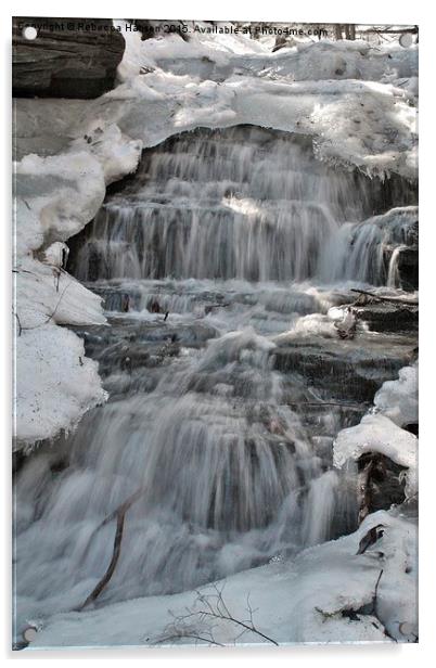  Spring Thaw Acrylic by Rebecca Hansen