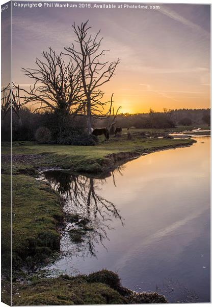Mill Lawn Brook at Sunrise  Canvas Print by Phil Wareham