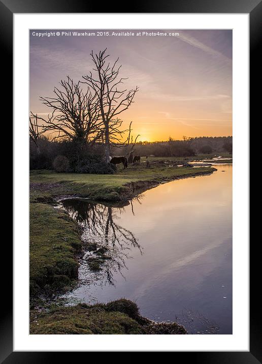 Mill Lawn Brook at Sunrise  Framed Mounted Print by Phil Wareham