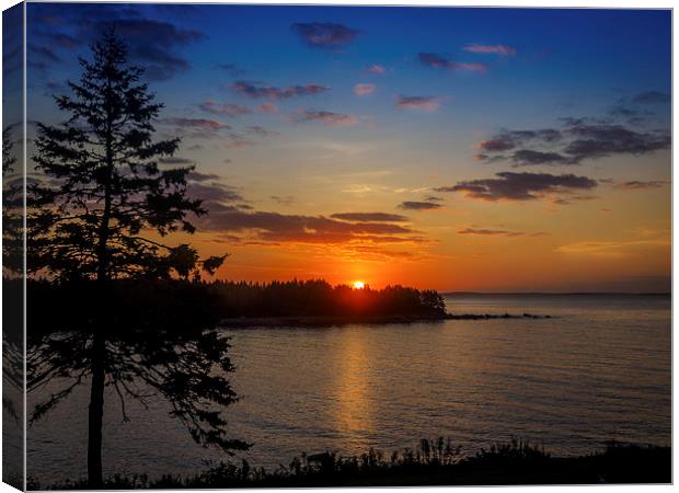Charlos Cove Sunrise, Guysborough, Nova Scotia, Ca Canvas Print by Mark Llewellyn