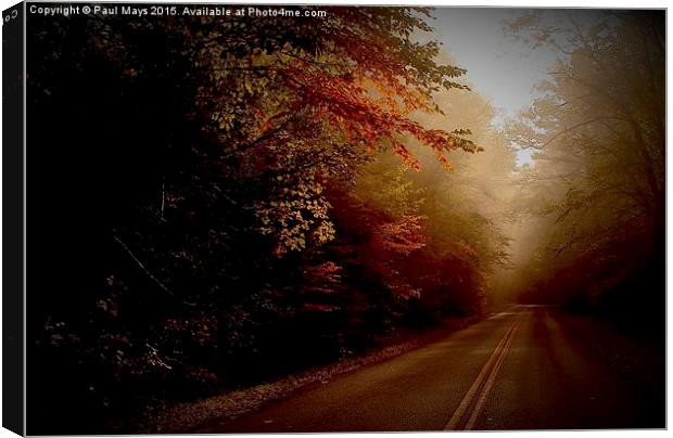  The High Road Canvas Print by Paul Mays