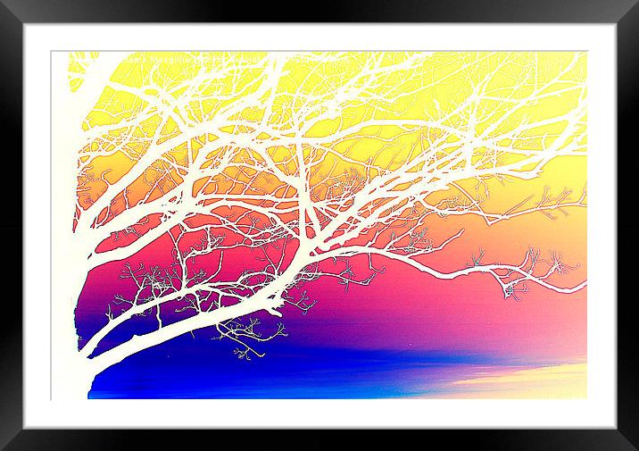  Inverted colours make it Framed Mounted Print by Grahame Macgillivray