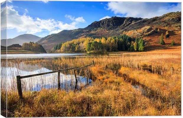 Autumn at Blea Tarn Canvas Print by Andrew Ray